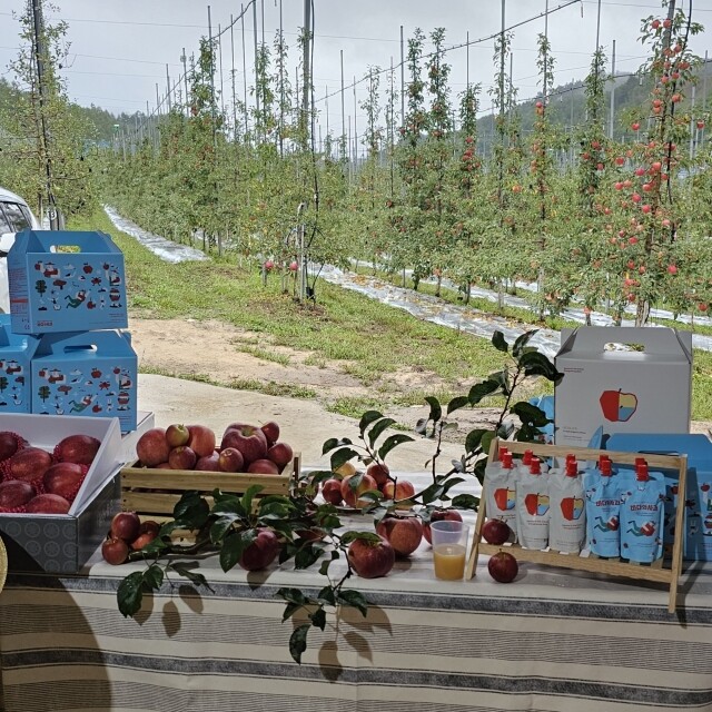 삽당령사과,(삽당령사과) 가정용 부사 사과 5kg 19과 강원도 정선 임계 경계 강릉 고랭지 삽당령 박봉서